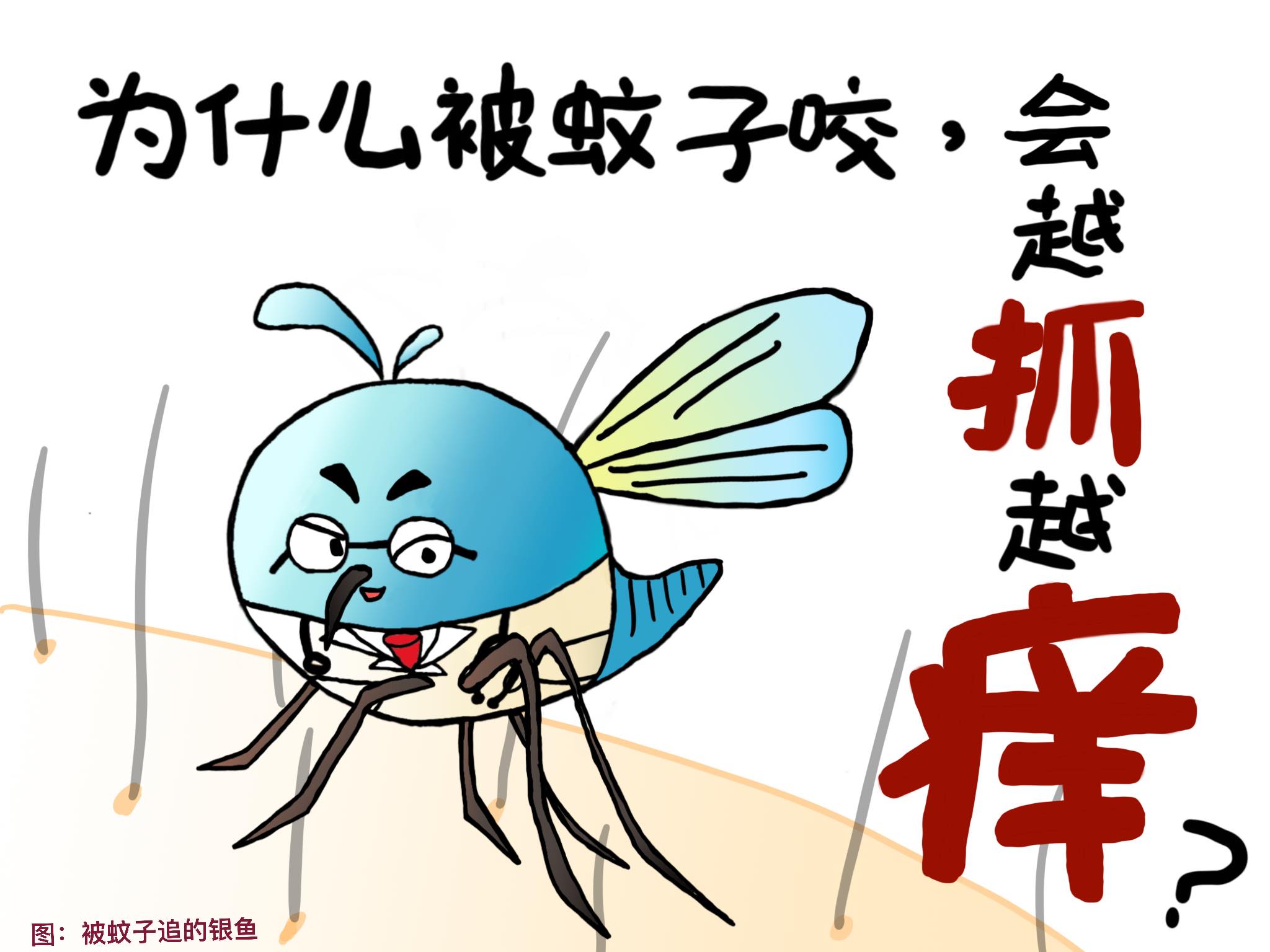 漫画：蚊子为啥喜欢咬你？