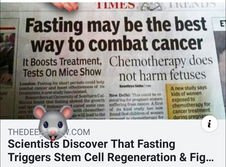老鼠實驗癌症及人體實驗