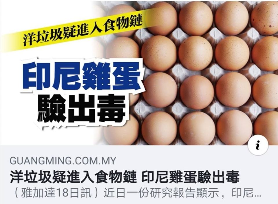 雞蛋有毒？