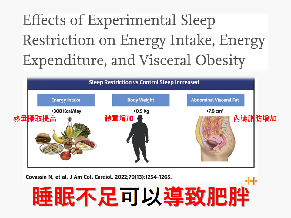 睡眠不知會導致肥胖？