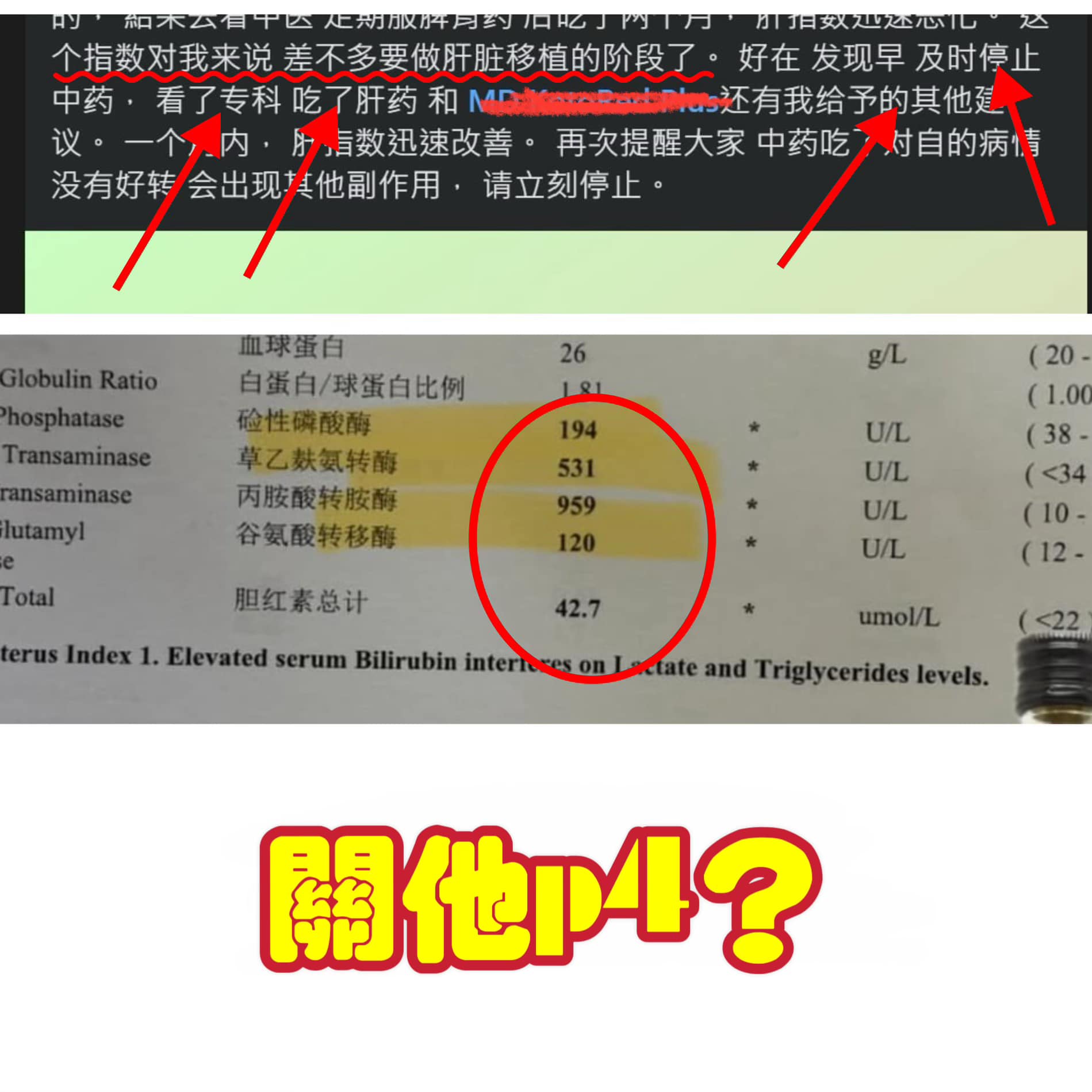 报告肝指数