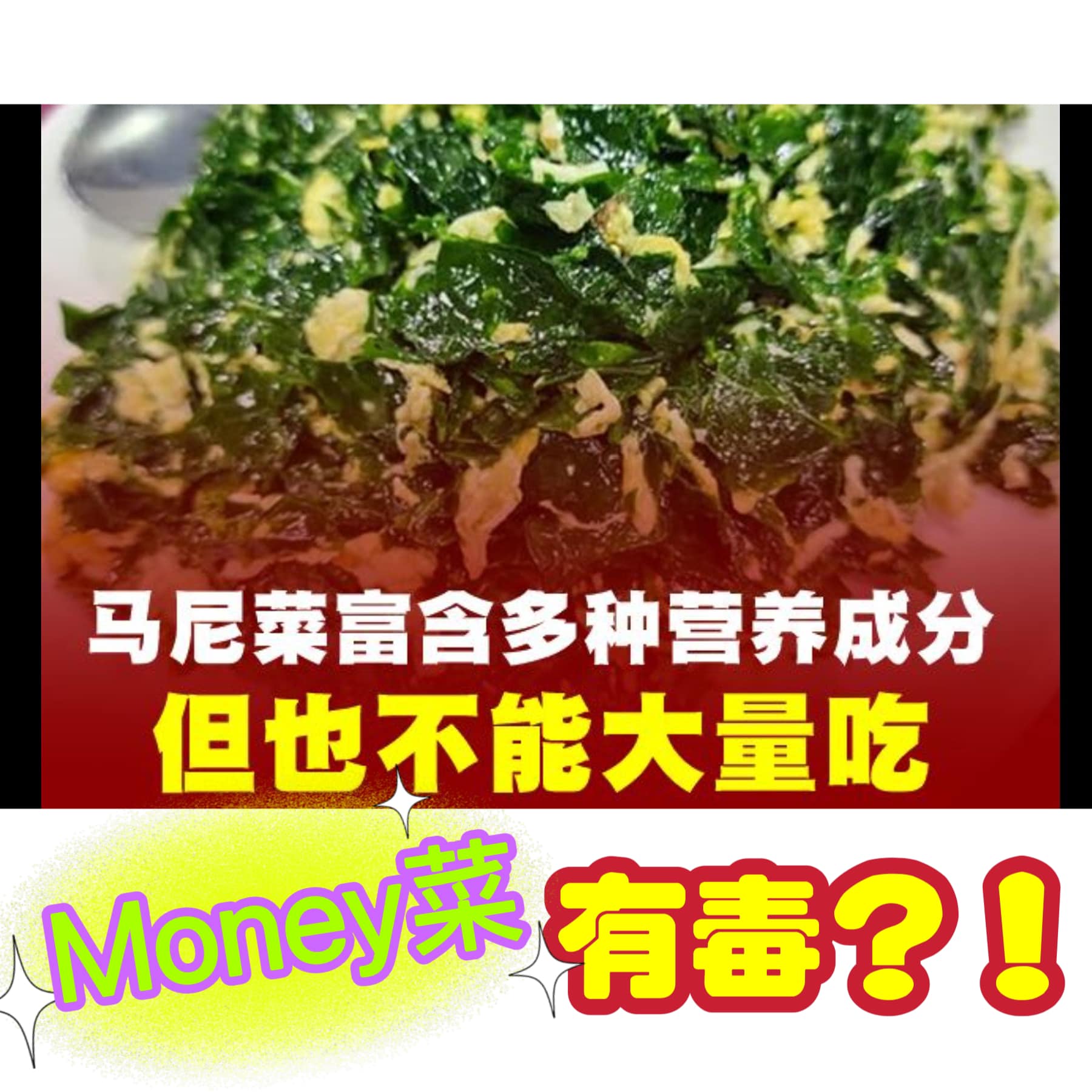 money菜有毒？