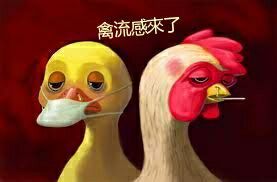 H5N6和H7N9