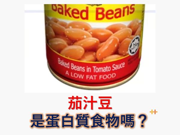 茄汁豆是蛋白質食物嗎？
