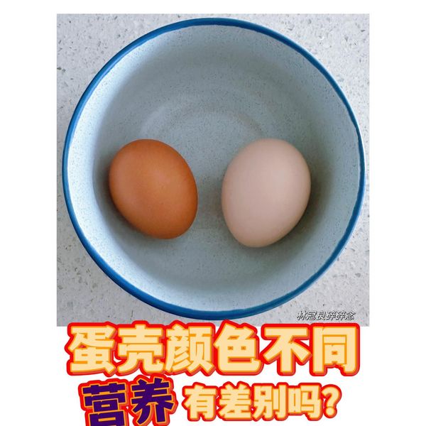 蛋殼顏色不同 營養有差別嗎？