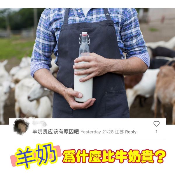 羊奶為什麼比牛奶貴？