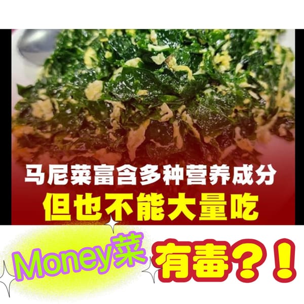 money菜有毒？